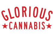 Boston Garden x Glorious Cannabis | Pop Up